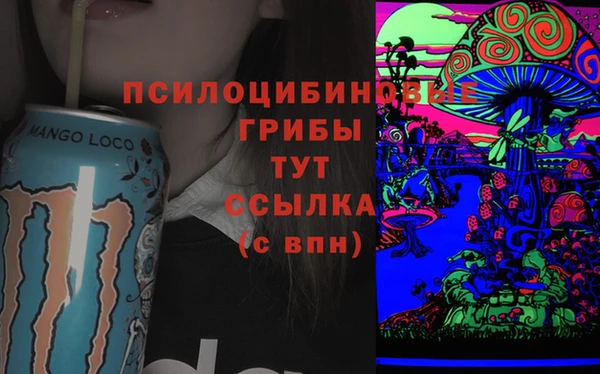 mdpv Арсеньев