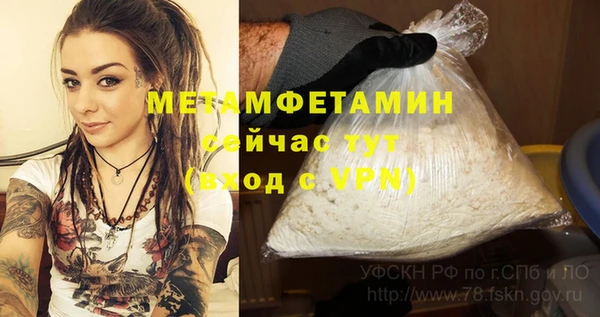 гидра Аркадак