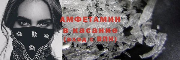 гидра Аркадак