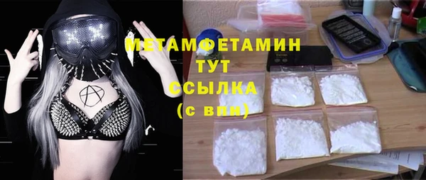 гидра Аркадак
