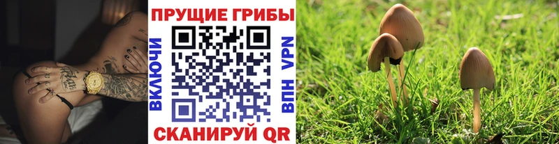 Псилоцибиновые грибы GOLDEN TEACHER  Крым 